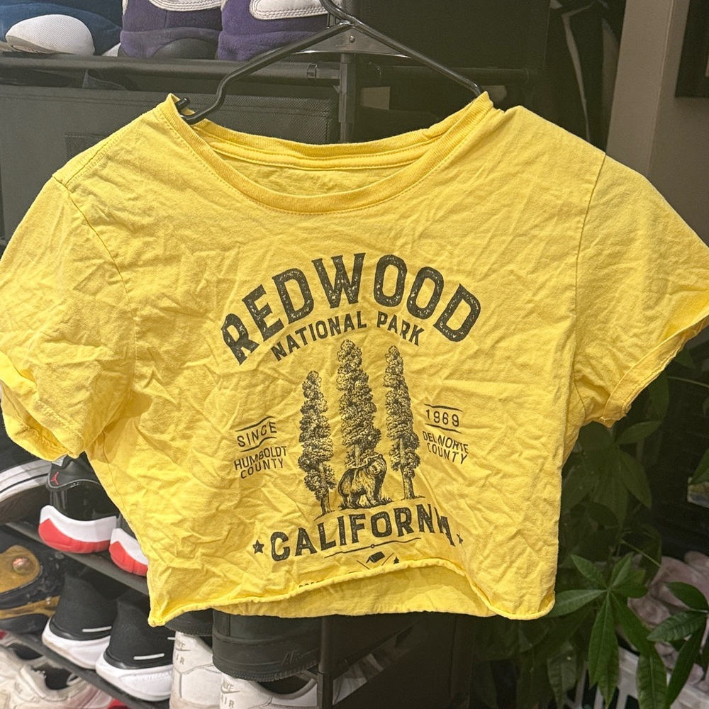 Yellow Redwood National Park T-Shirt